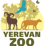 Transforming the Yerevan Zoo 