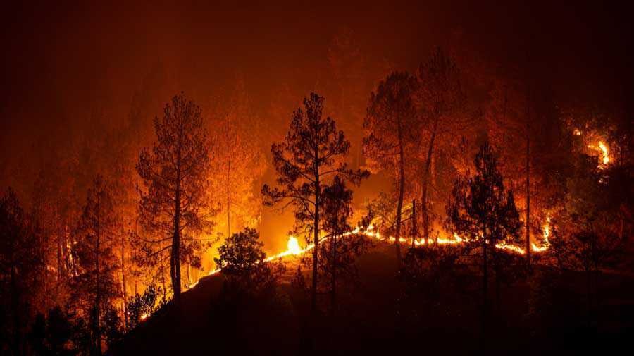 Disaster Resilience